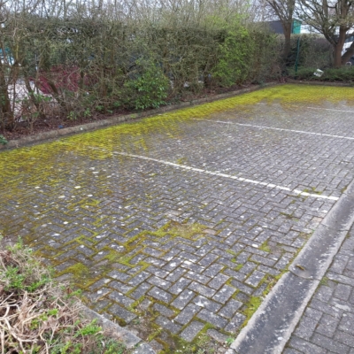 Five parking spaces with moss