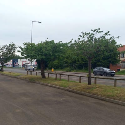 Grass verge cutting